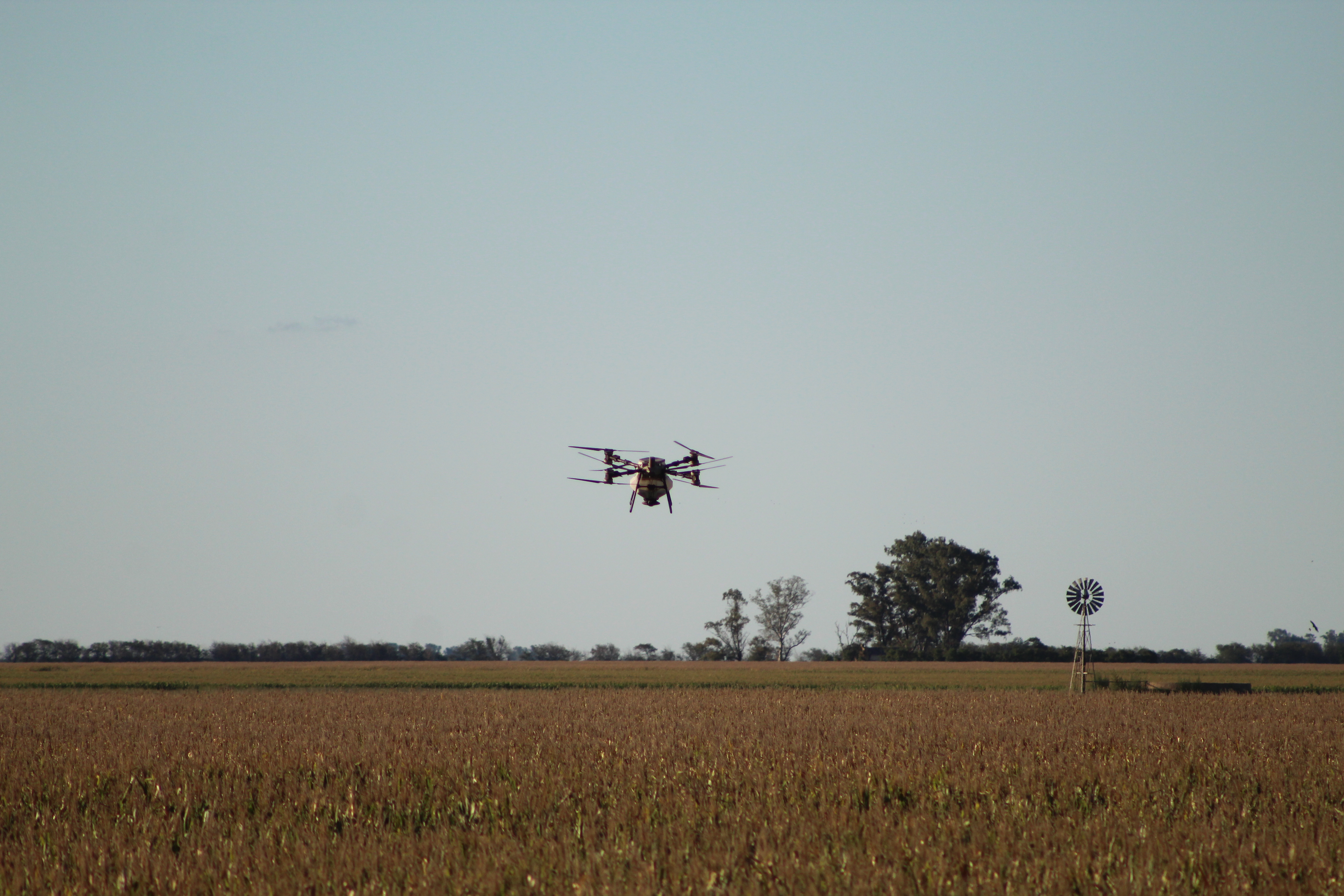 Drone sobre cultivo